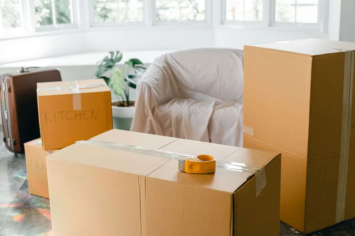 Hoarding Cleanup in Forest Knolls, San Francisco, CA